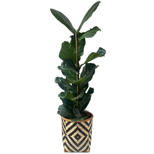 Mand Greece Zwart Naturel - Set Van 3 Stuks - Afbeelding 4