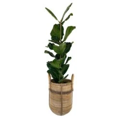 Mand In Rotan Met Jute Handvaten - Set Van 2 Stuks