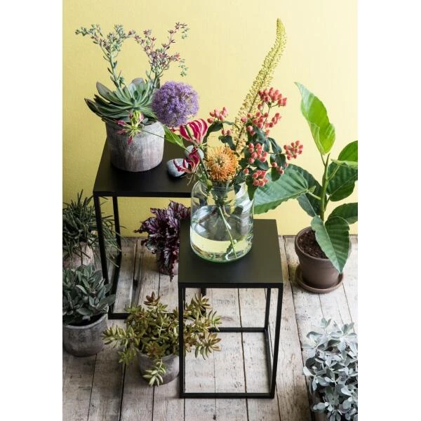 MICA Tafeltjes - H 55 En 48,5 Cm - Set Van 2 Stuks - Afbeelding 3