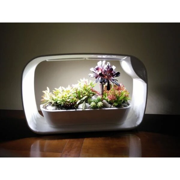 Mini Tuin Jardin Secret Met Ledverlichting En Bluetooth - Rechthoek - Afbeelding 2