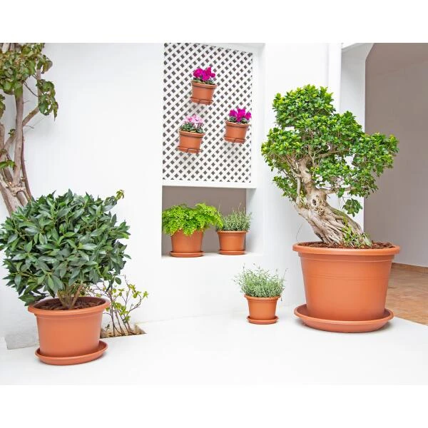 Onderschotel Rond 22 Cm - Terracotta - Afbeelding 2