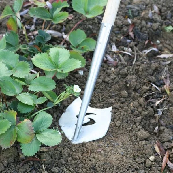 Onkruidwieder 'Speedhoe' - Ergonomisch 170 Cm - Afbeelding 2