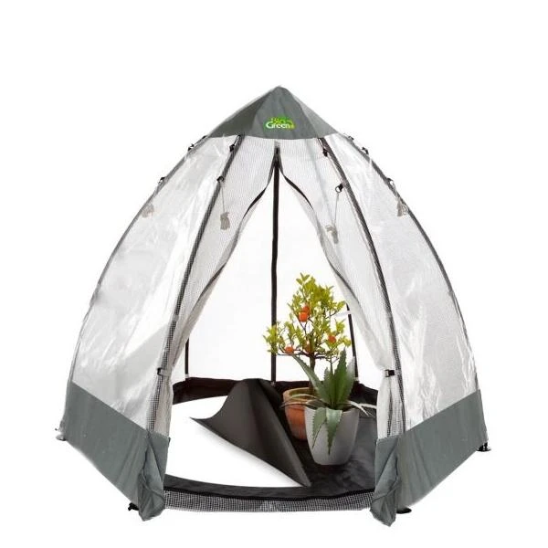 Overwinteringskas L - 240 × 240 × 200 Cm - Afbeelding 2