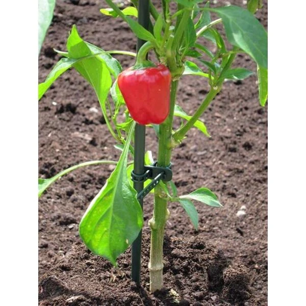 Plantenbinder - Rubber 18 Cm Groen - Set Van 15 Stuks - Afbeelding 3