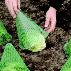 Plantenhoed - Zonnehoed - Set Van 10 Stuks