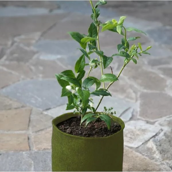 Plantzakken 5 Liter Vigoroot - Set Van 3 Stuks - Afbeelding 2