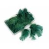 Decoratieve Pluimen - Groen