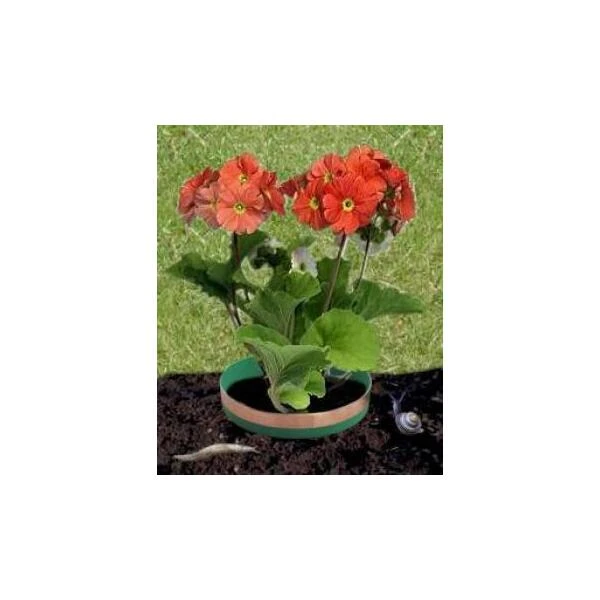 Anti-slakkenringen Met Kopertape - Afbeelding 2