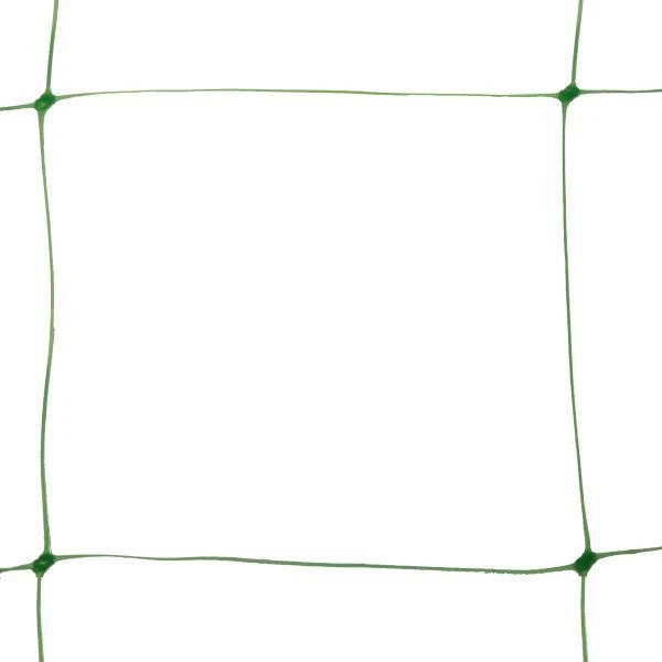 Klimgaas Erwten En Bonen 2m × 10 M - Afbeelding 3