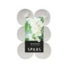 Theelicht Maxi Jasmijn - 10 Uren - Set Van 12 Stuks