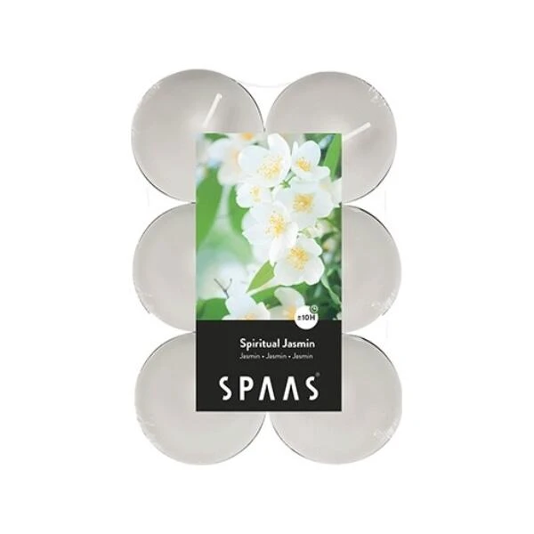 Theelicht Maxi Jasmijn - 10 Uren - Set Van 12 Stuks