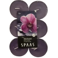 Theelicht Maxi Wilde Orchidee - 10 Uren - Set Van 12 Stuks