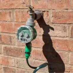 Tijdsklok Voor Waterdarm