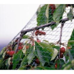 Tuinnet Grofmazig 4 M × 10 M