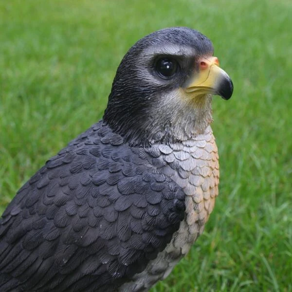 Valk Tuinbeeld 26 Cm - Afbeelding 5