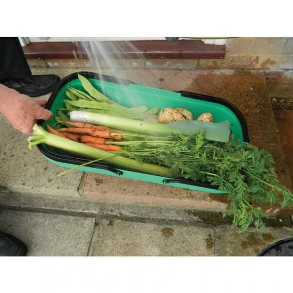 Verzamelmand - Groente En Fruit - Afbeelding 4