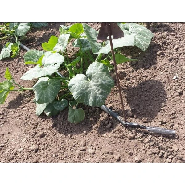 Vloeidarm Rol 250 Meter - Afbeelding 5