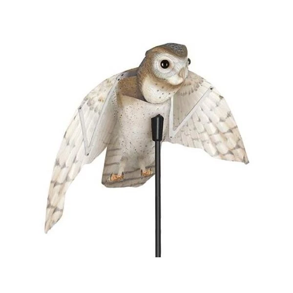 Vogelverjager Kerkuil - Vliegend