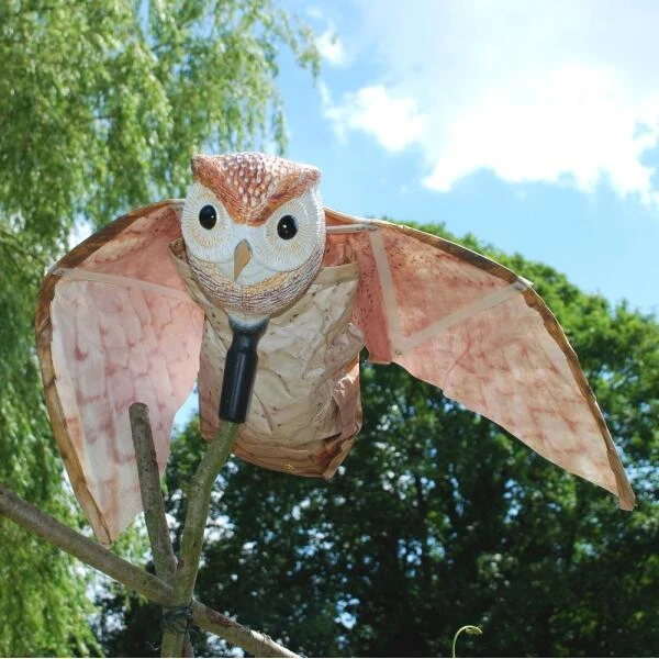 Vogelverjager Kerkuil - Vliegend - Afbeelding 4