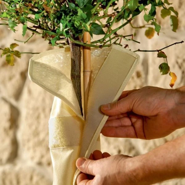 Beschermhoes Stam - 100 Cm